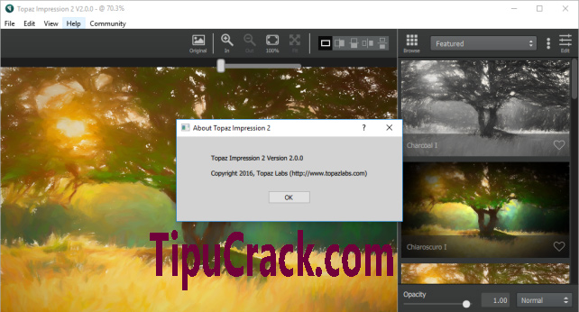 Topaz Impression 2.0.3 download free